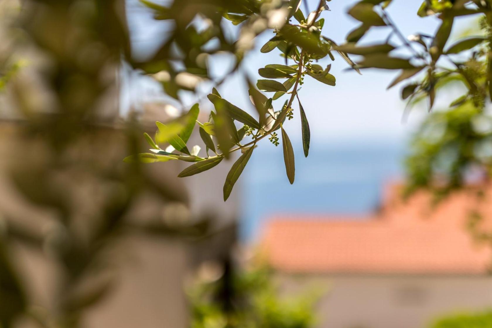 Apartments With A Parking Space Baska Voda, Makarska - 301 Exterior photo